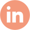 linkedin icone
